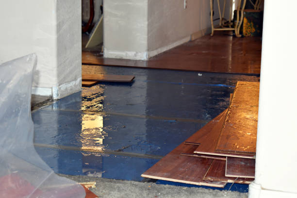 Professional Water Damage Restoration technician working in Garland, UT
